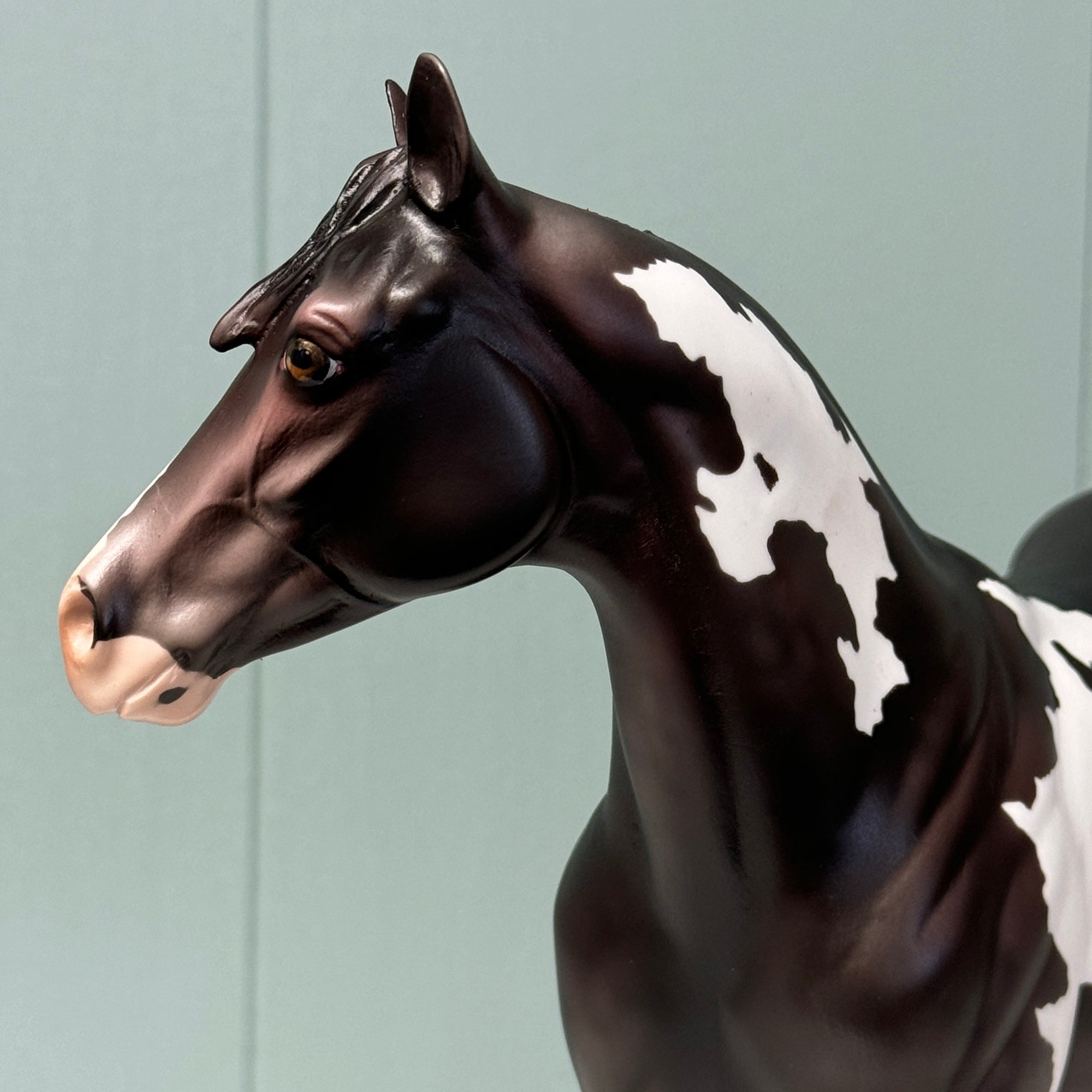 Radar OOAK Sunburnt Black Overo Custom ISH By Julie Kiem EQ24