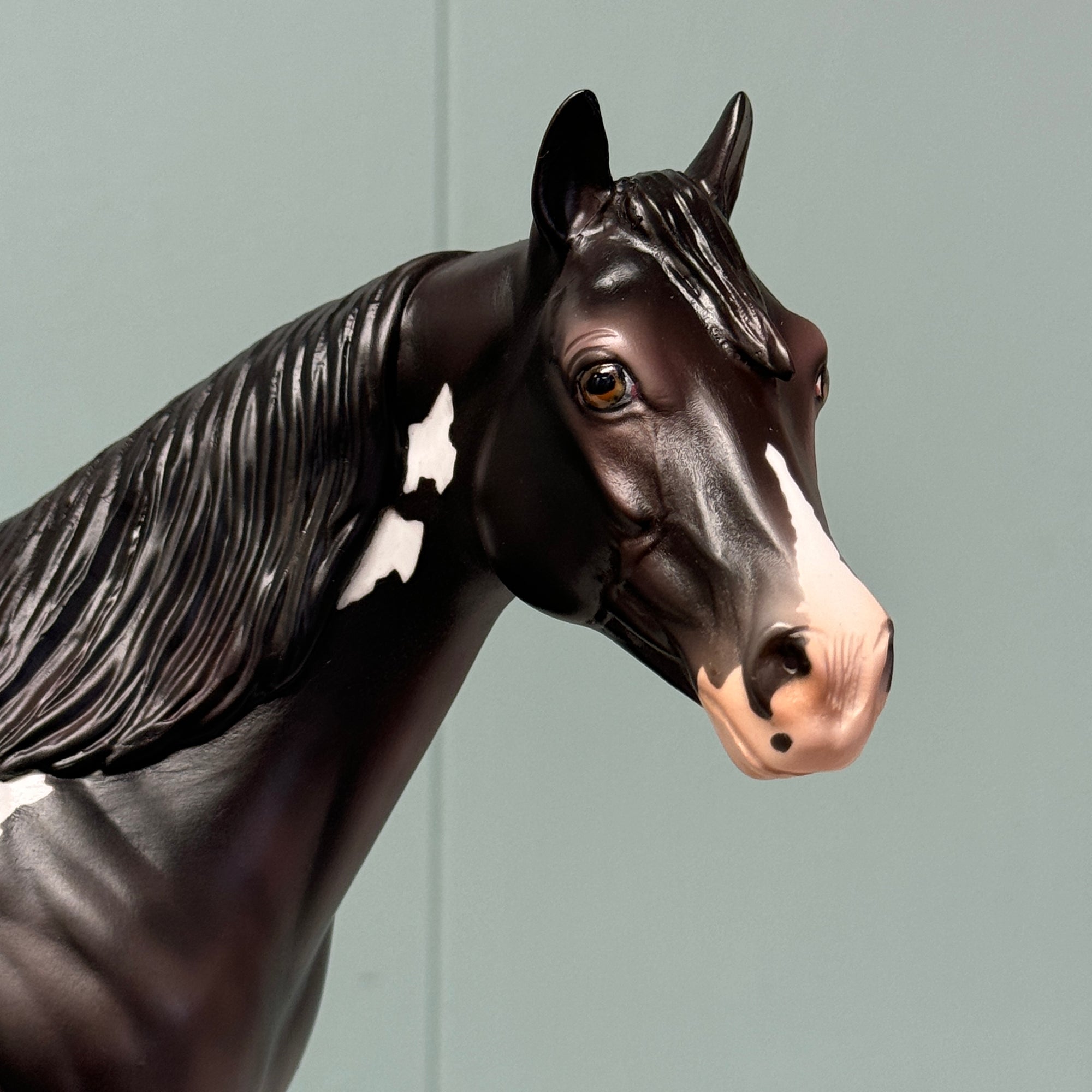 Radar OOAK Sunburnt Black Overo Custom ISH By Julie Kiem EQ24