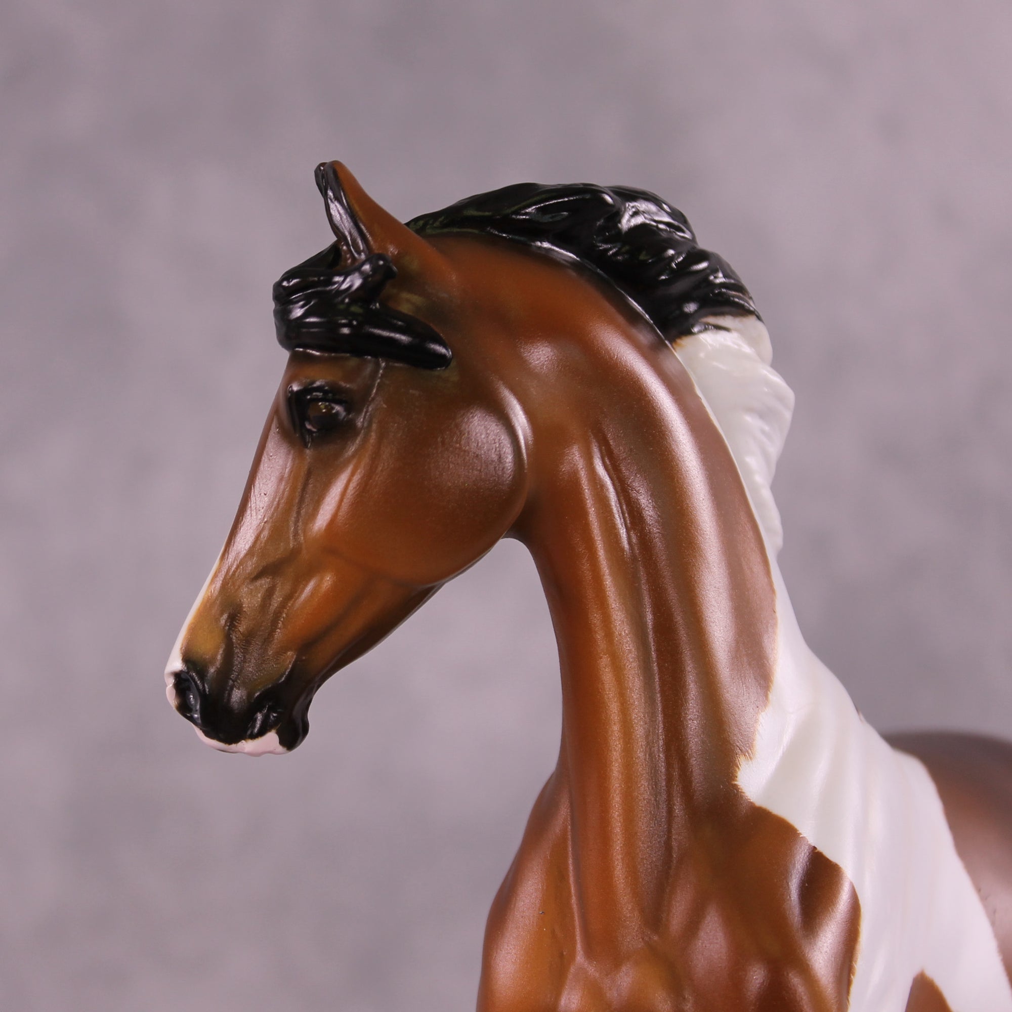 Jafar OOAK EFCM Arabian to Marwari by Tiffany Purdy GS925