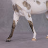 Angel Song OOAK Extreme Factory Custom Grulla Pinto Baying Mule Painted and Customized By Tiffany Purdy HS24 Best Offer