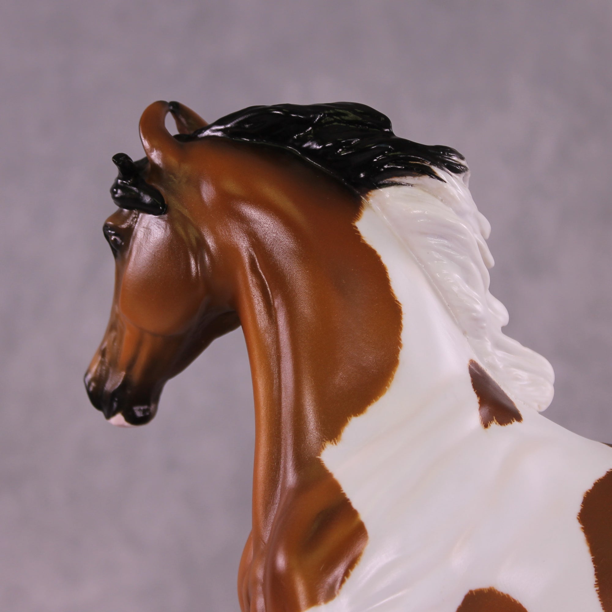 Jafar OOAK EFCM Arabian to Marwari by Tiffany Purdy GS925