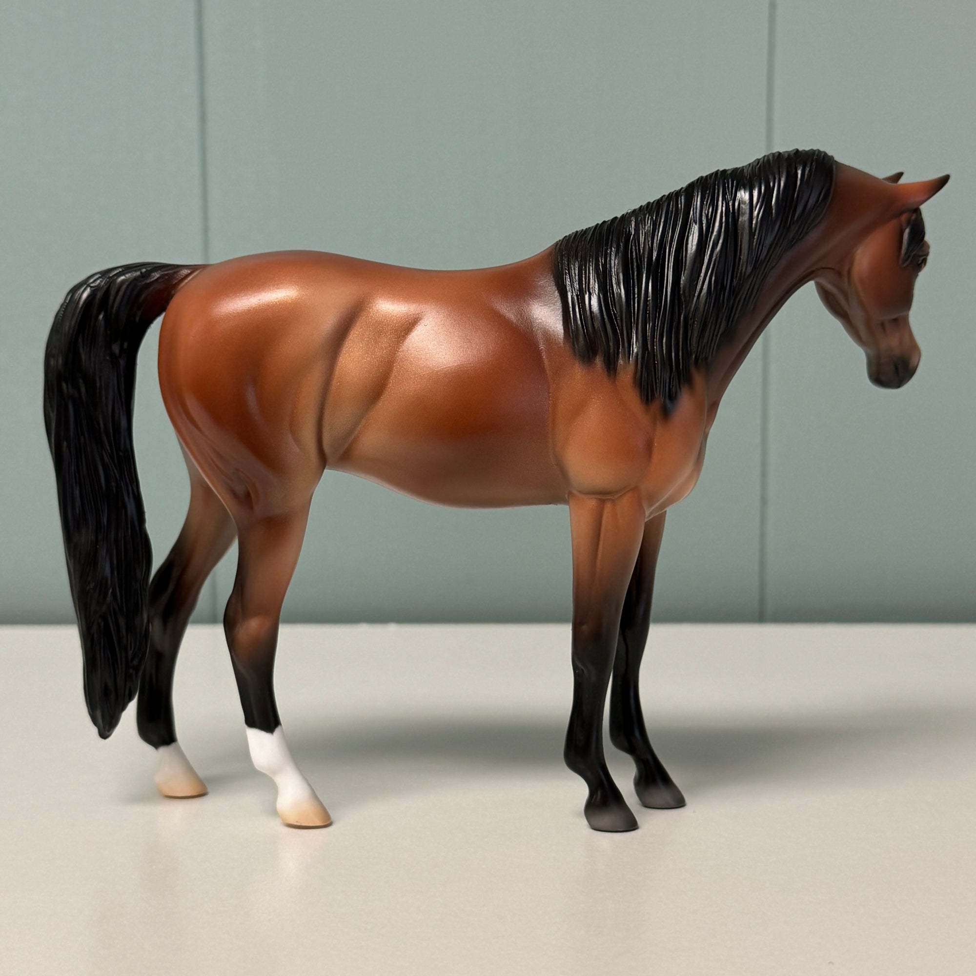 Lexicon OOAK Bay Arabian Pebble By Jess Hamill EQ24