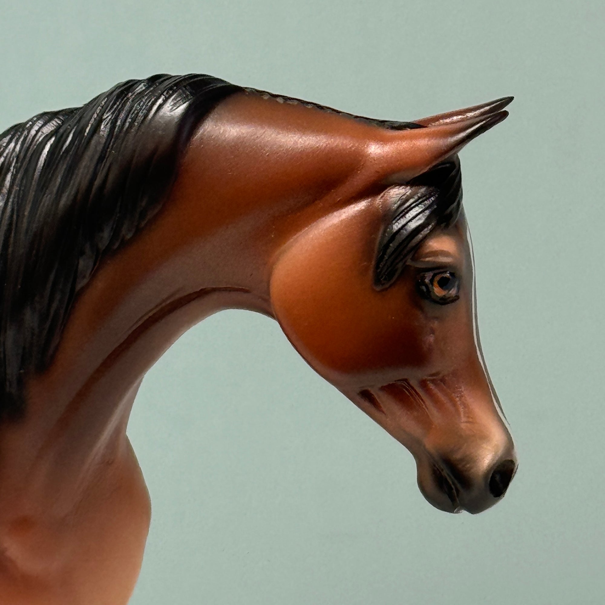 Lexicon OOAK Bay Arabian Pebble By Jess Hamill EQ24