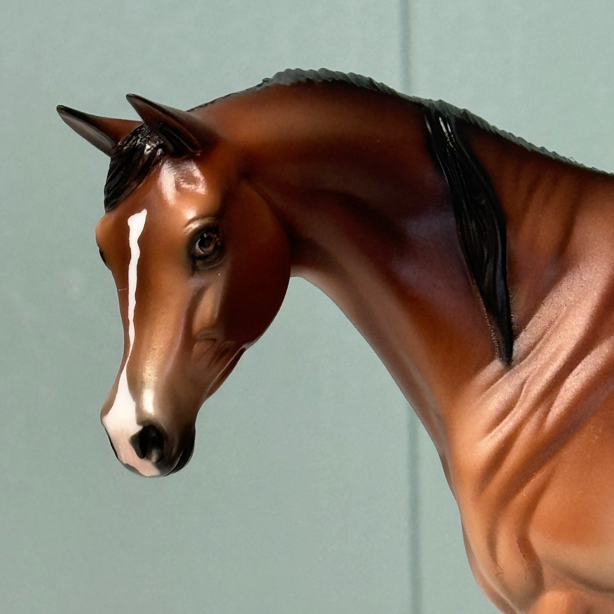 Lexicon OOAK Bay Arabian Pebble By Jess Hamill EQ24