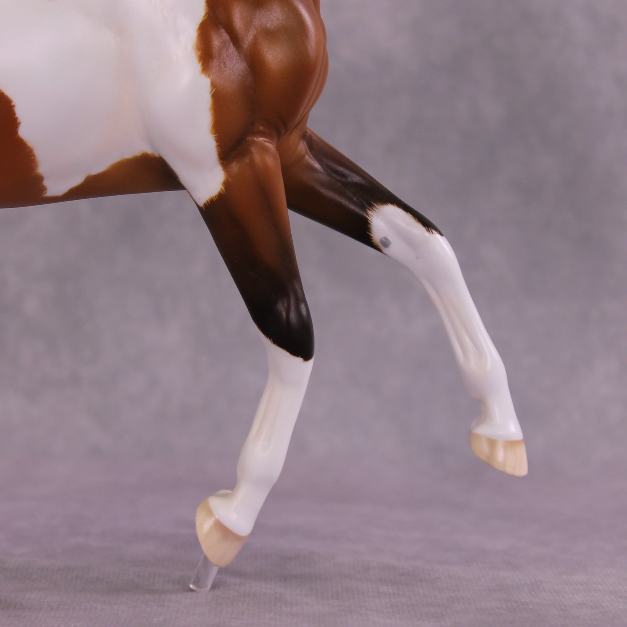 Jafar OOAK EFCM Arabian to Marwari by Tiffany Purdy GS925