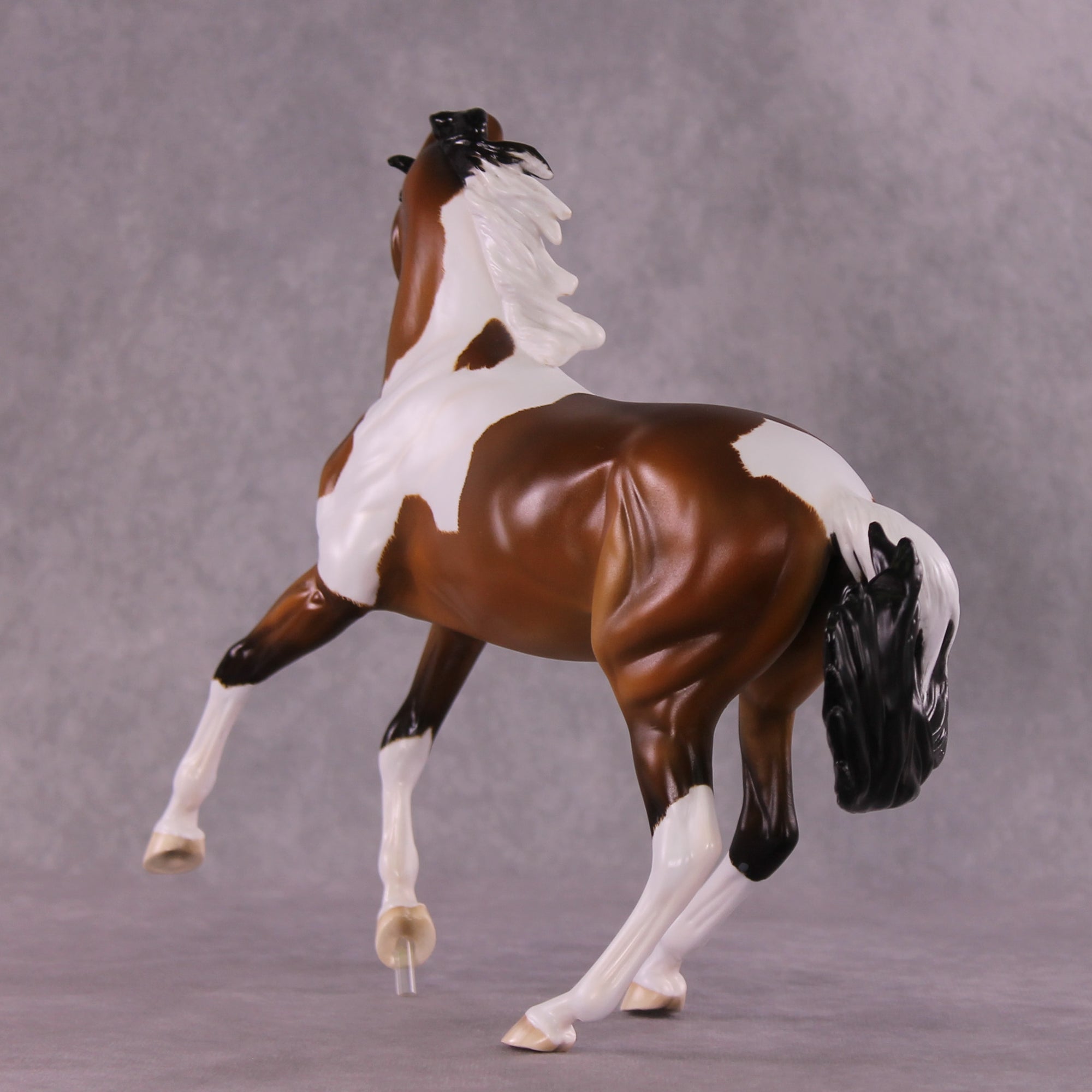 Jafar OOAK EFCM Arabian to Marwari by Tiffany Purdy GS925
