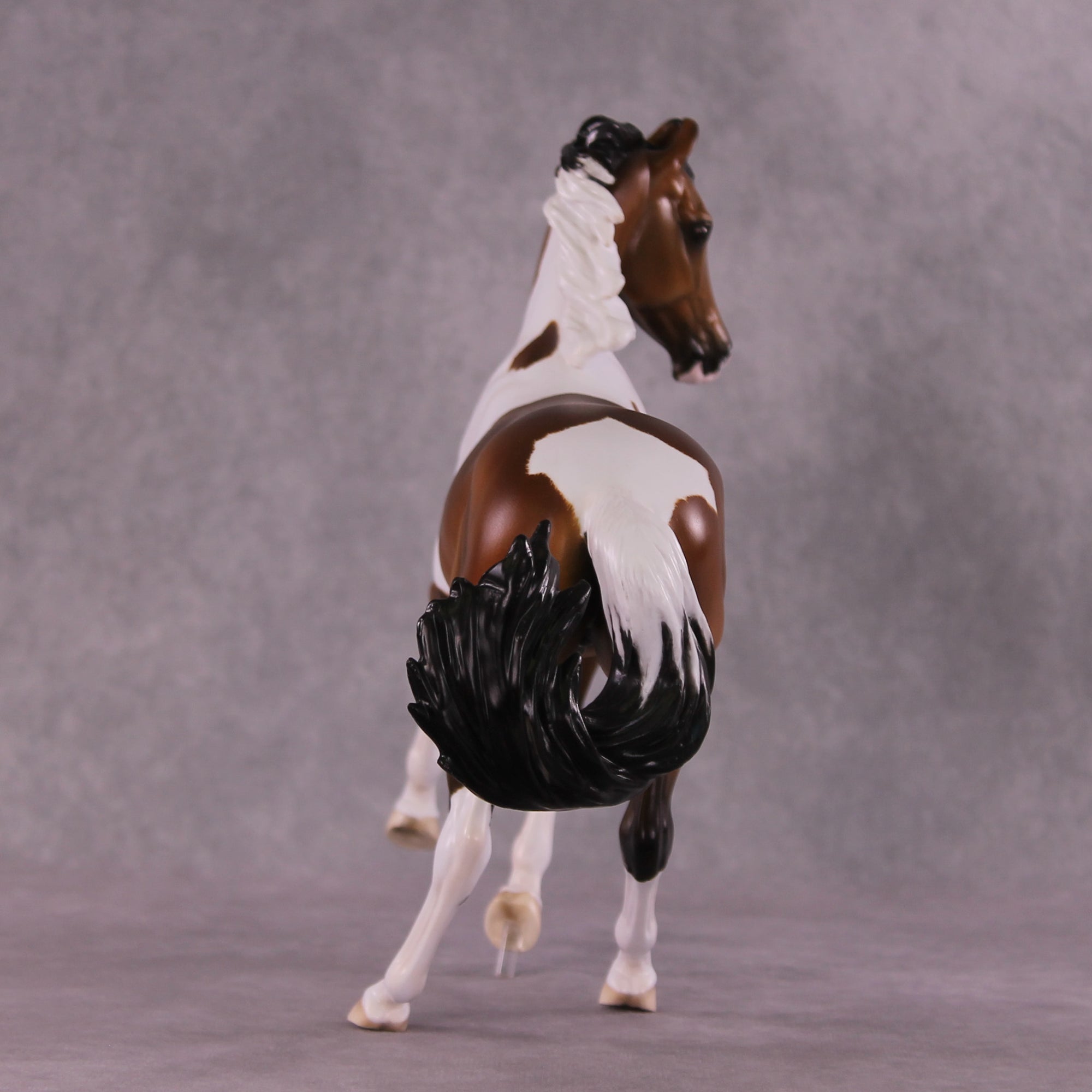 Jafar OOAK EFCM Arabian to Marwari by Tiffany Purdy GS925
