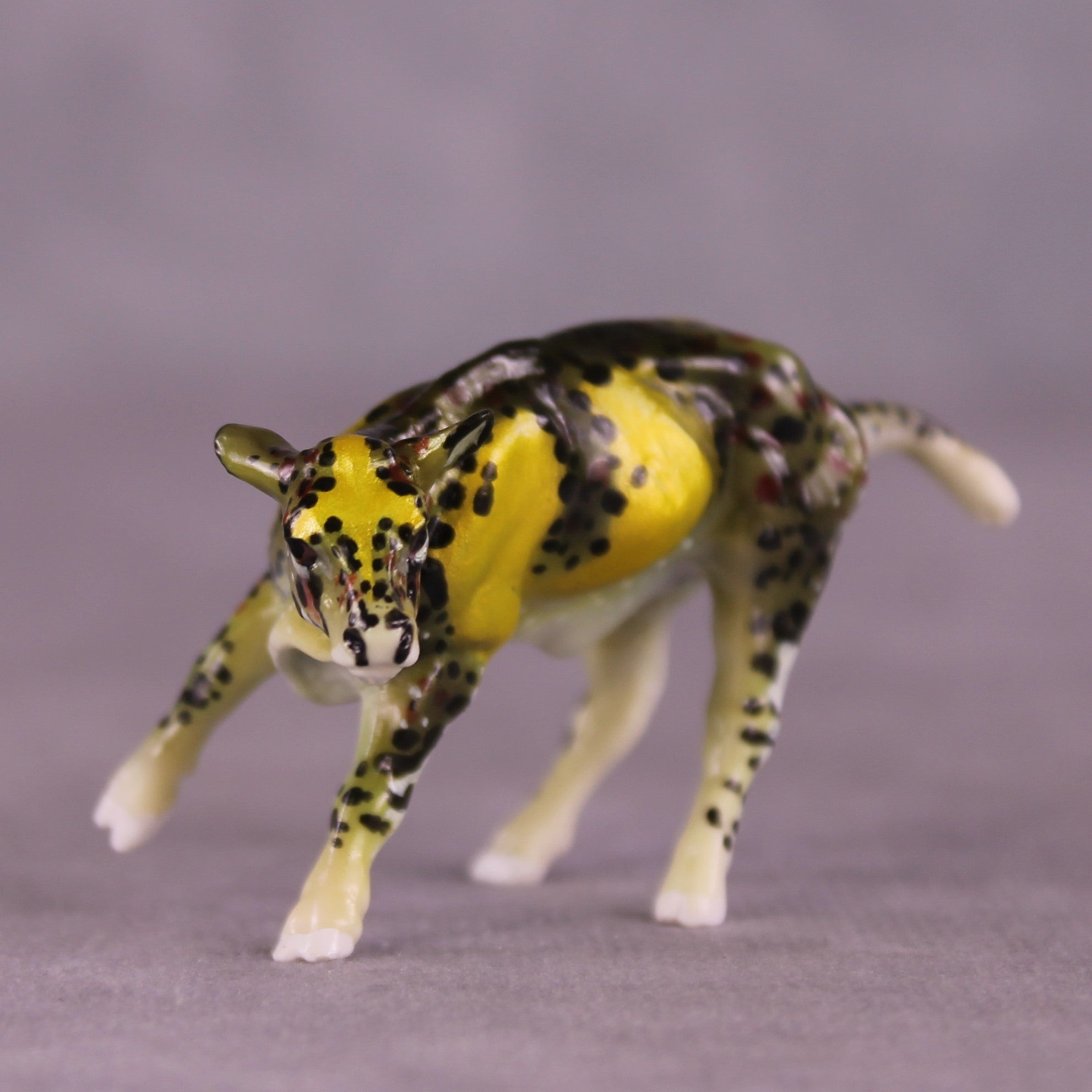 "Panania" OOAK Calf Chip by Jess Hamill MS25