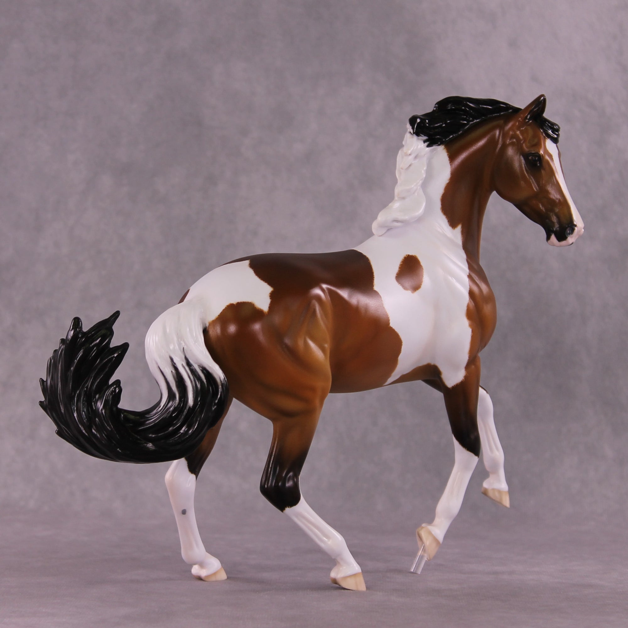 Jafar OOAK EFCM Arabian to Marwari by Tiffany Purdy GS925