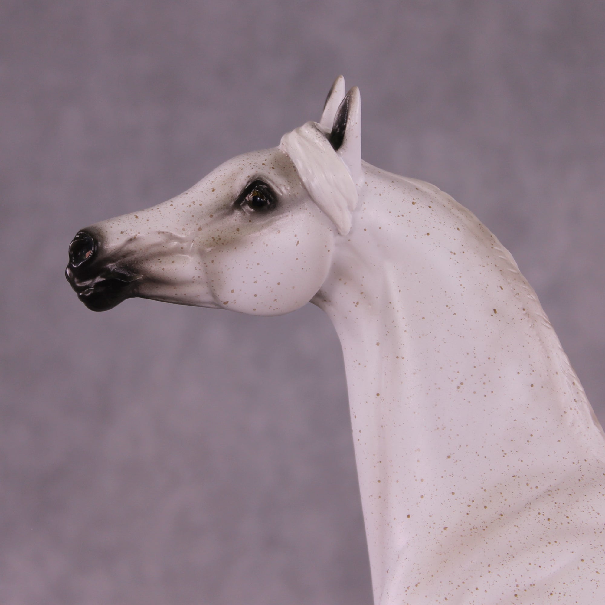 Bint Morafina OOAK EFCM Arabian by Tiffany Purdy GS925