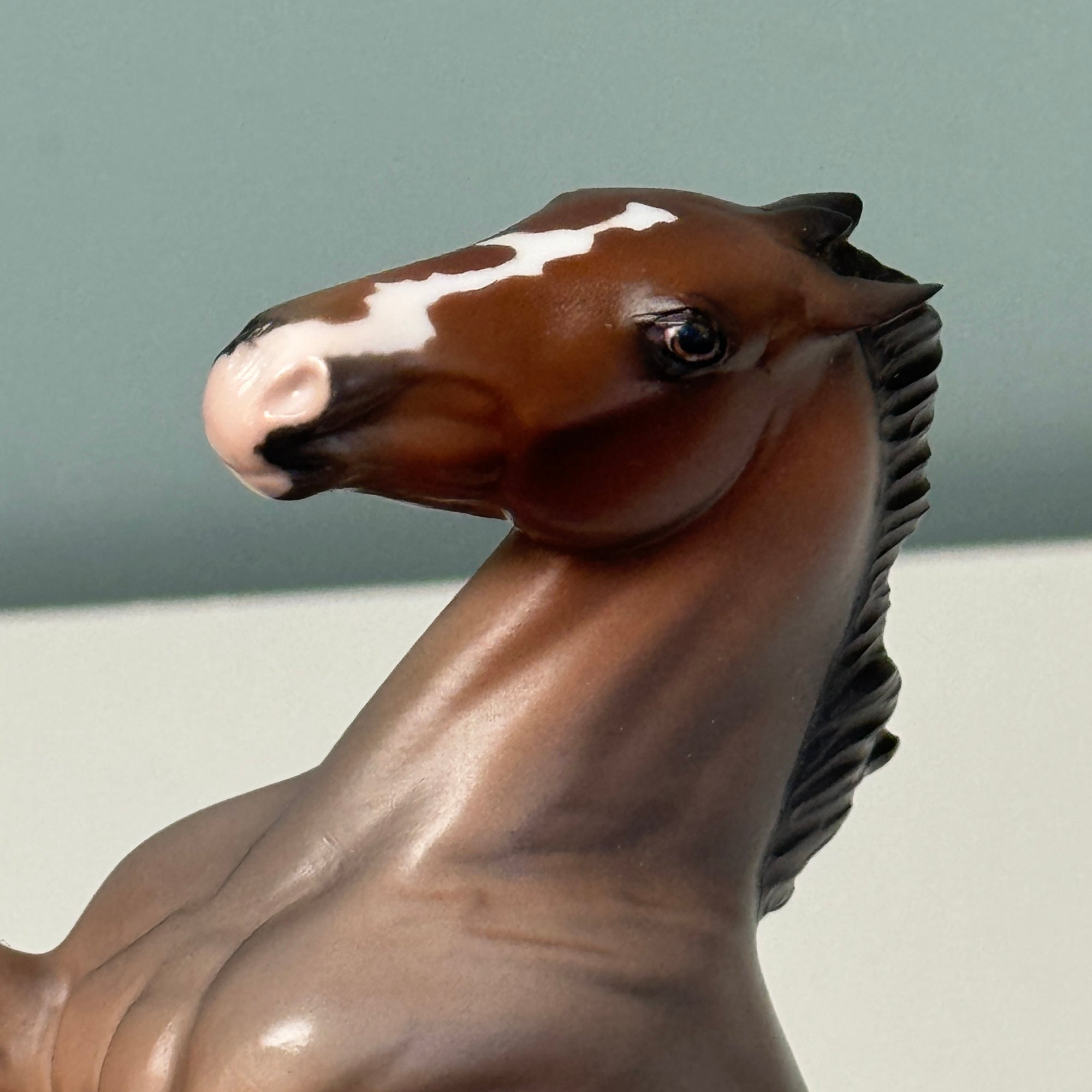 Fontsmith OOAK Bay Roan Rearing Pebble By Jess Hamill EQ24