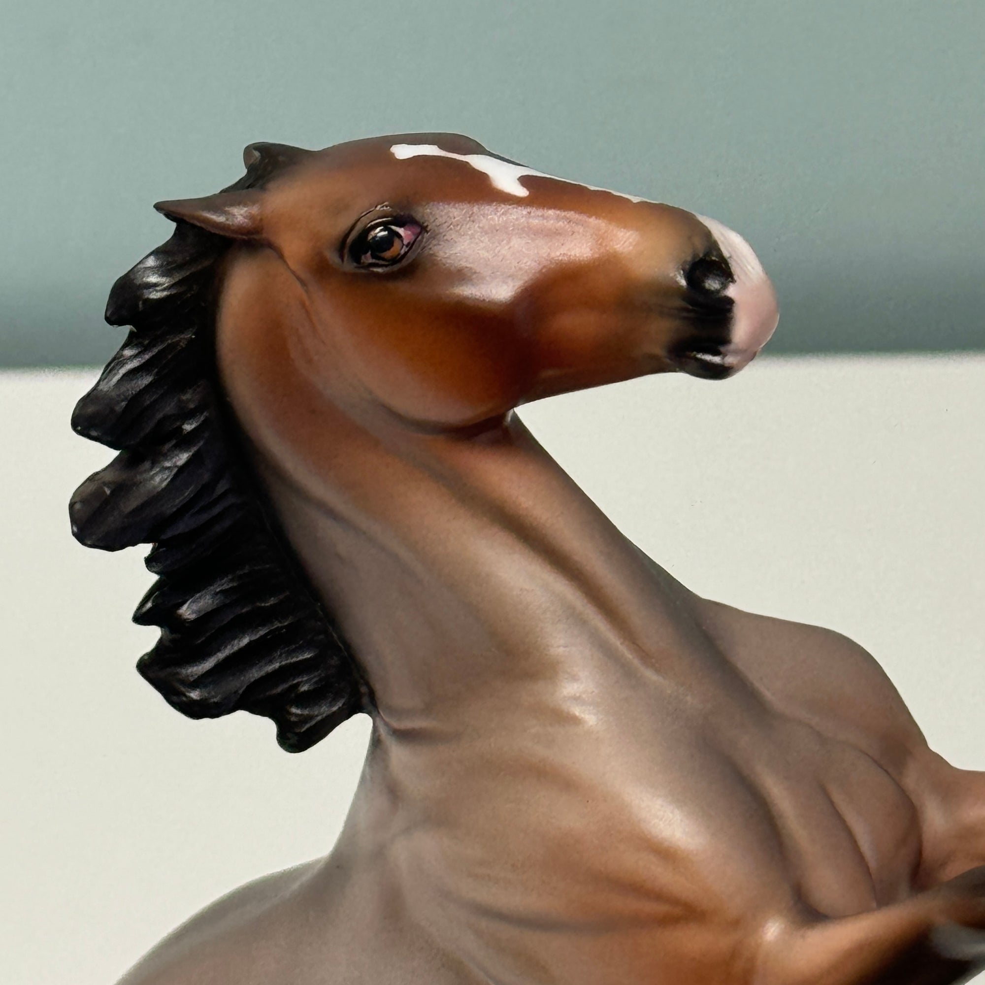 Fontsmith OOAK Bay Roan Rearing Pebble By Jess Hamill EQ24