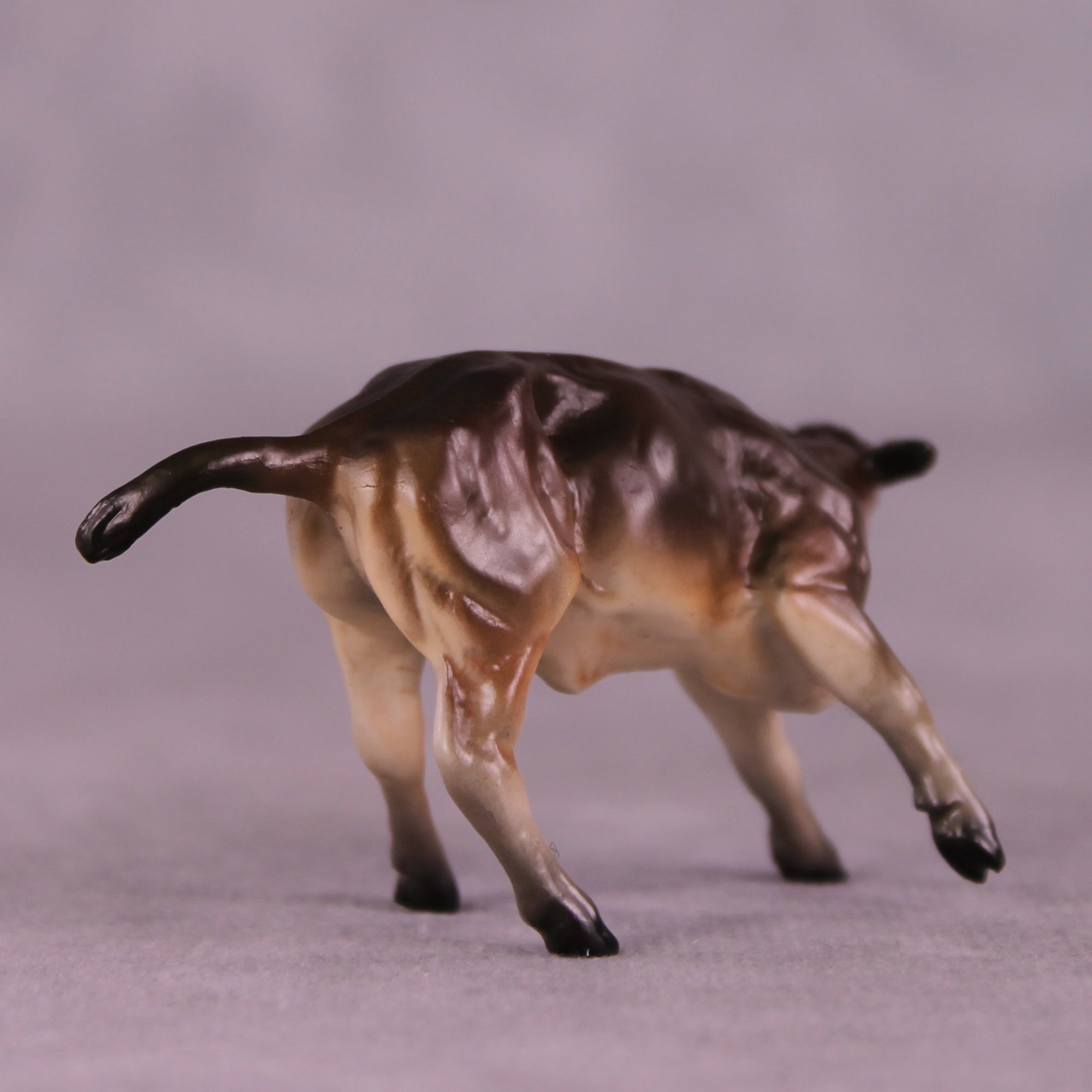 "Perry" OOAK Calf Chip by Jess Hamill MS25