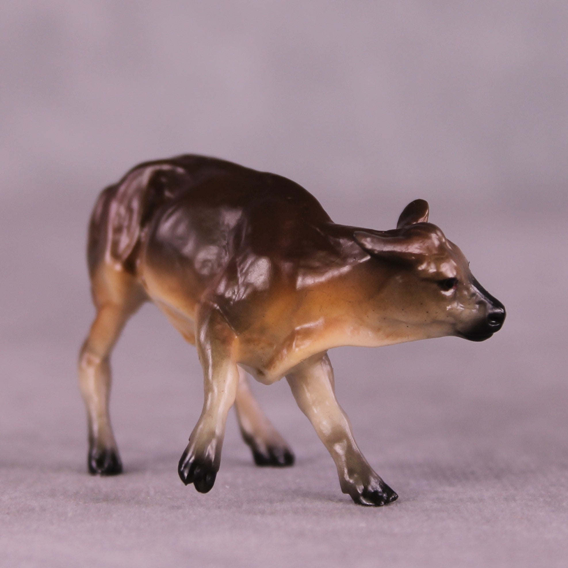 "Perry" OOAK Calf Chip by Jess Hamill MS25