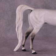 Bint Morafina OOAK EFCM Arabian by Tiffany Purdy GS925