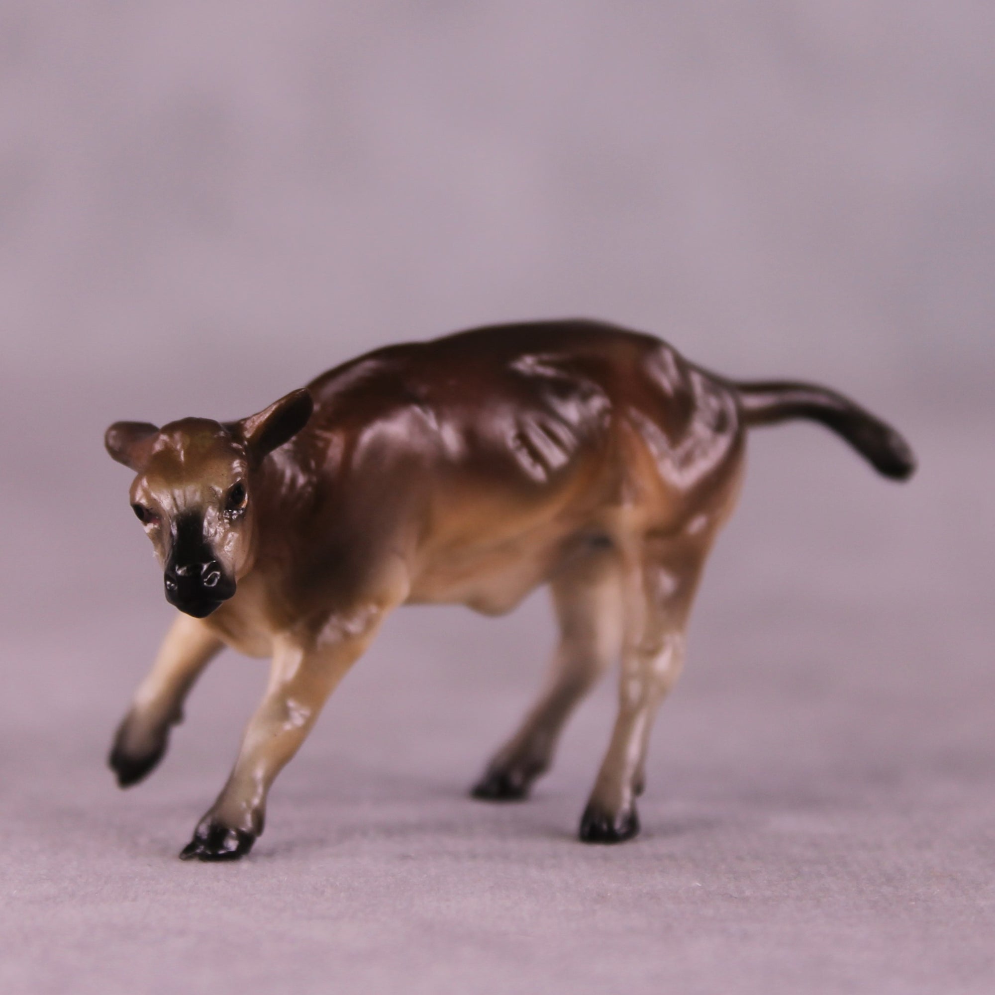 "Perry" OOAK Calf Chip by Jess Hamill MS25