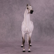 Bint Morafina OOAK EFCM Arabian by Tiffany Purdy GS925