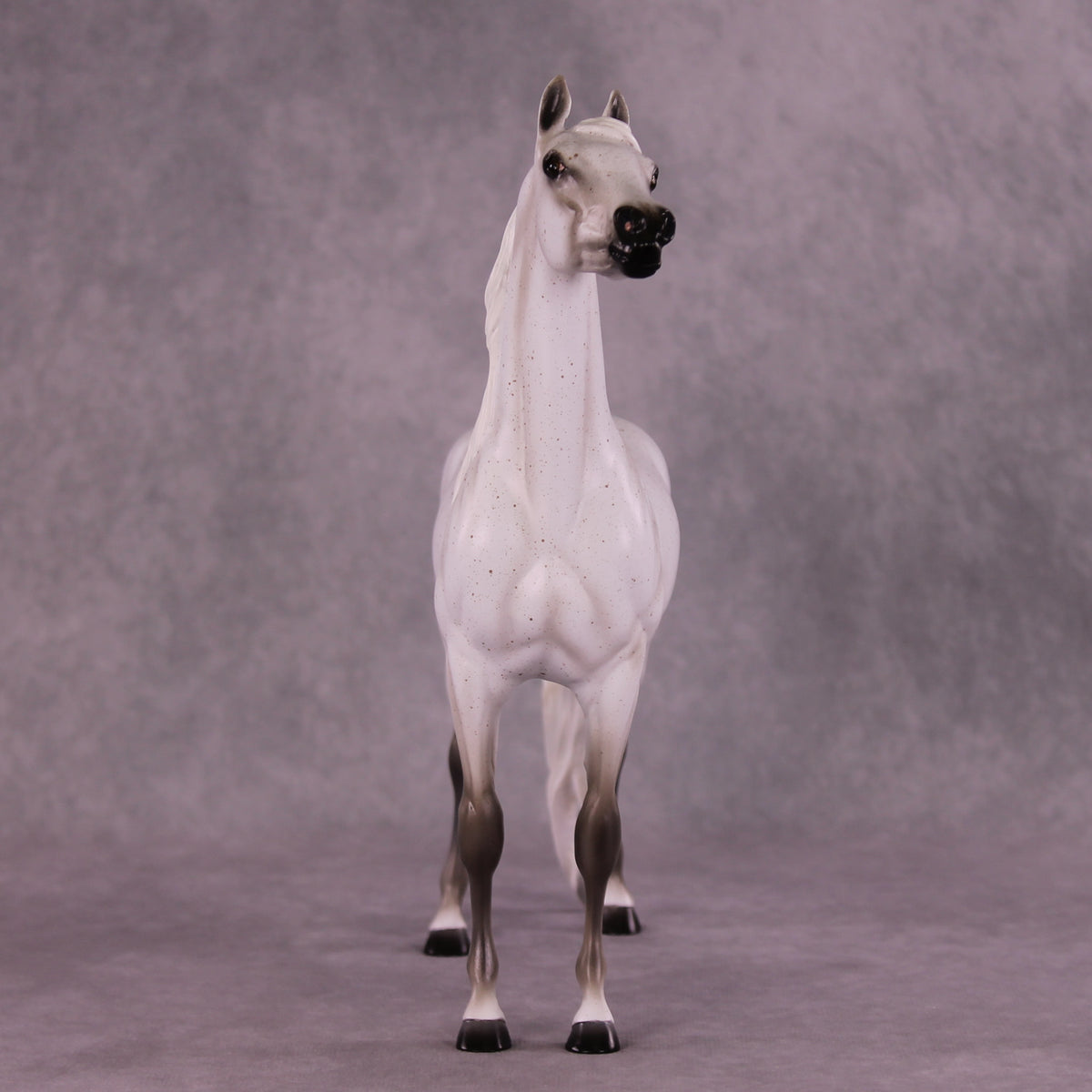 Bint Morafina OOAK EFCM Arabian by Tiffany Purdy GS925