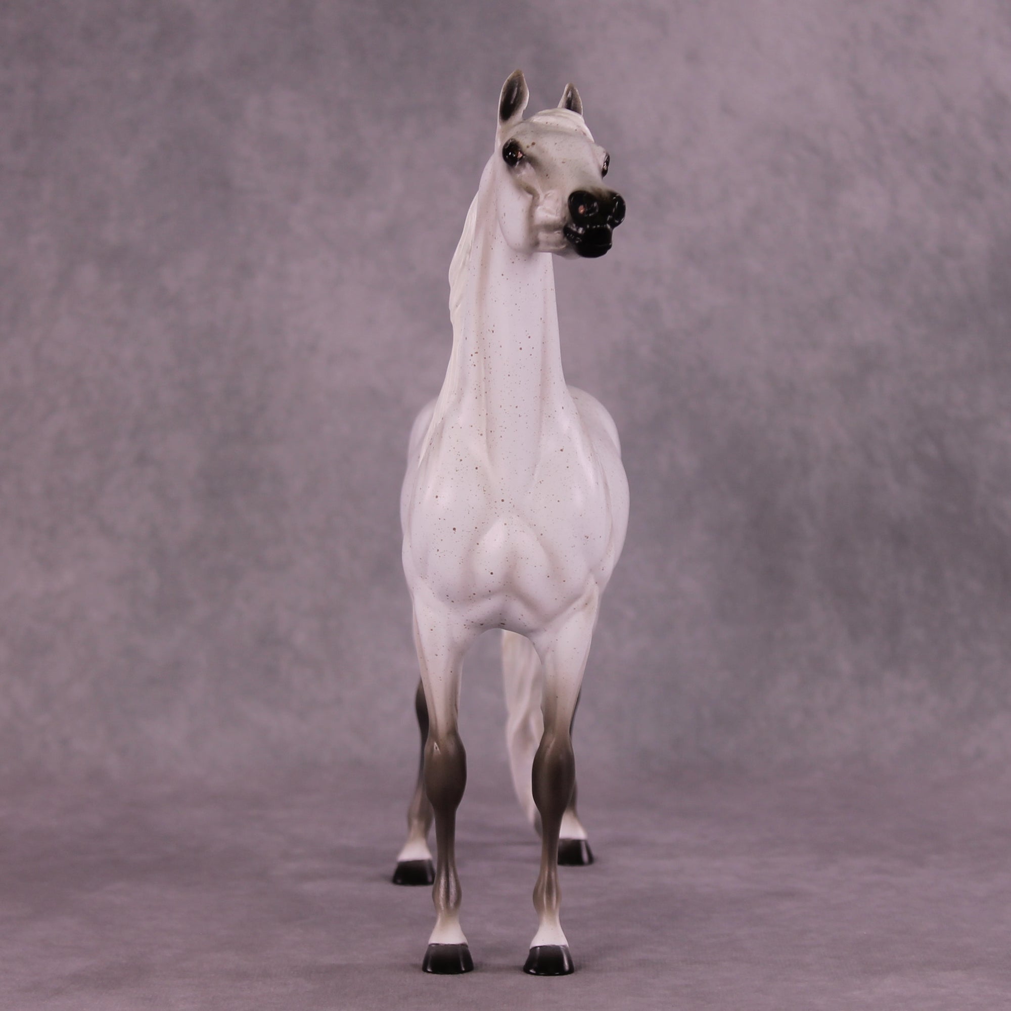 Bint Morafina OOAK EFCM Arabian by Tiffany Purdy GS925