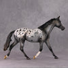 Chocolate Chai OOAK Appaloosa Palouse By Visiting Artist Amanda Brock HS24 Best Offer