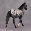 Chocolate Chai OOAK Appaloosa Palouse By Visiting Artist Amanda Brock HS24 Best Offer