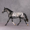 Chocolate Chai OOAK Appaloosa Palouse By Visiting Artist Amanda Brock HS24 Best Offer