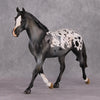 Chocolate Chai OOAK Appaloosa Palouse By Visiting Artist Amanda Brock HS24 Best Offer