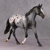 Chocolate Chai OOAK Appaloosa Palouse By Visiting Artist Amanda Brock HS24 Best Offer