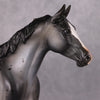 Chocolate Chai OOAK Appaloosa Palouse By Visiting Artist Amanda Brock HS24 Best Offer