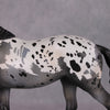 Chocolate Chai OOAK Appaloosa Palouse By Visiting Artist Amanda Brock HS24 Best Offer