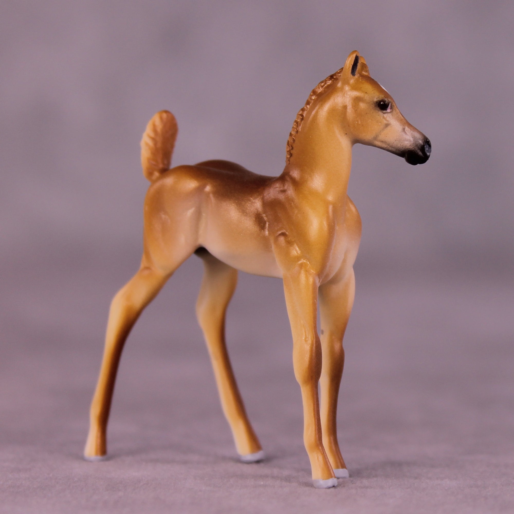 Bint Marie OOAK FCM Chip Foal by Tiffany Purdy GS925