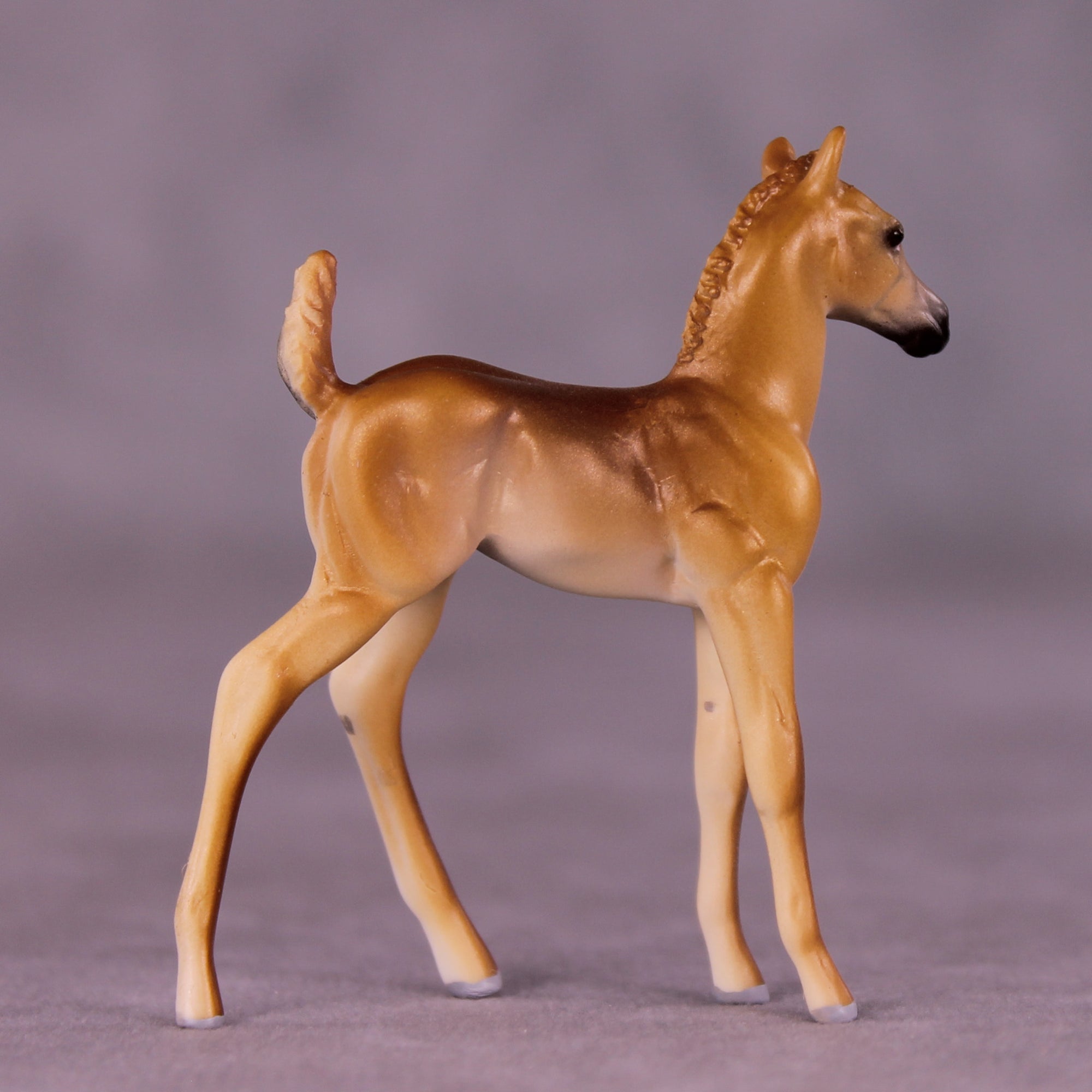 Bint Marie OOAK FCM Chip Foal by Tiffany Purdy GS925