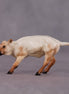 "Dust Devil" OOAK Cow Chip By Ellen Robbins SHCF25OS