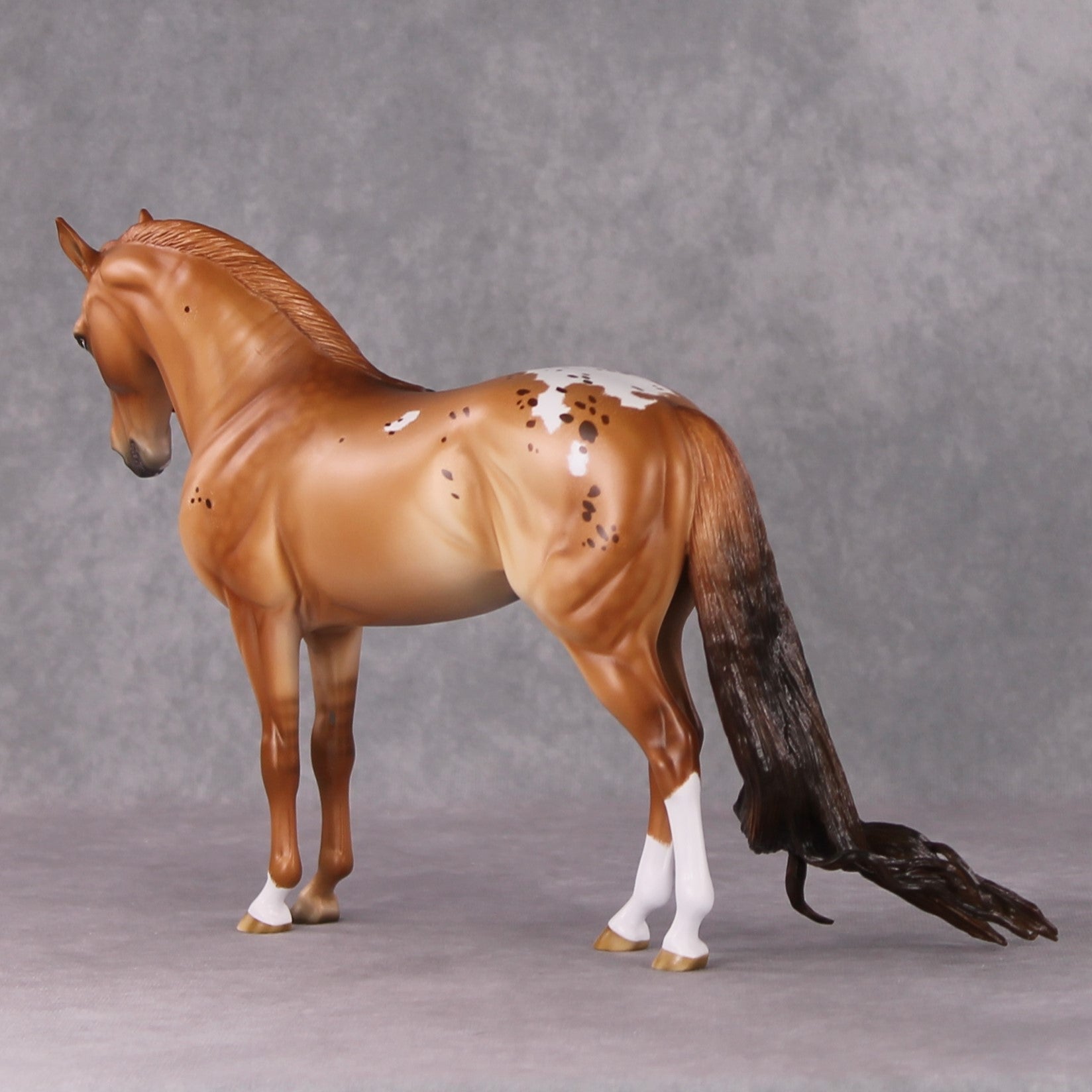 Cinnamon Latte OOAK Red Dun Custom Andalusian By Ashley Palmer HS24 Best Offer