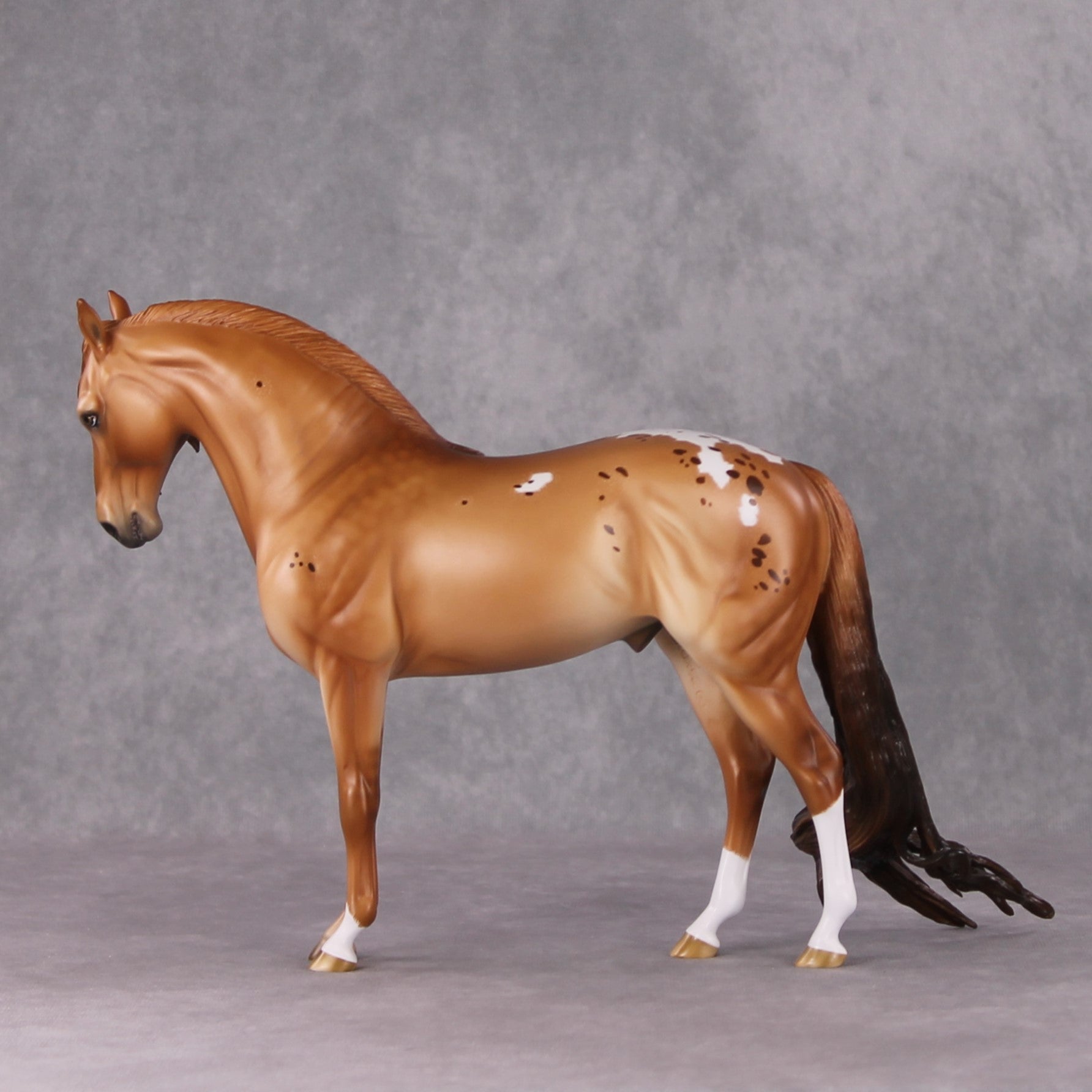 Cinnamon Latte OOAK Red Dun Custom Andalusian By Ashley Palmer HS24 Best Offer