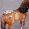 Cinnamon Latte OOAK Red Dun Custom Andalusian By Ashley Palmer HS24 Best Offer