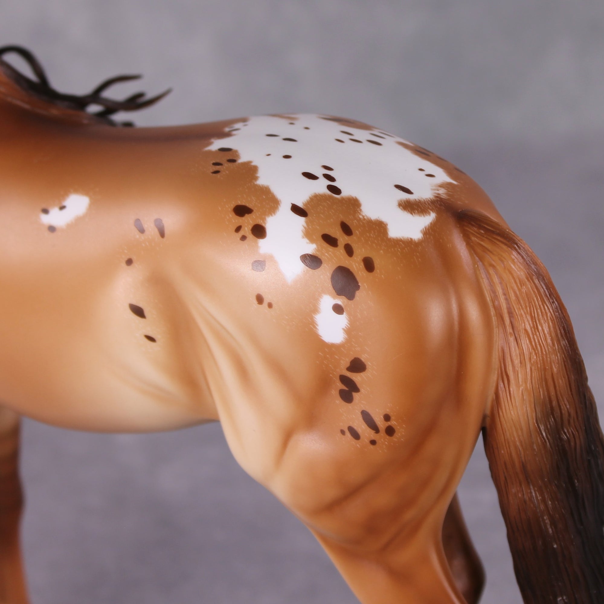 Cinnamon Latte OOAK Red Dun Custom Andalusian By Ashley Palmer HS24 Best Offer