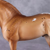 Cinnamon Latte OOAK Red Dun Custom Andalusian By Ashley Palmer HS24 Best Offer