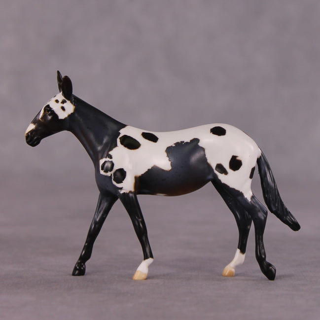 "Chester" OOAK Mule Chip by Anna Rieck SHCF25