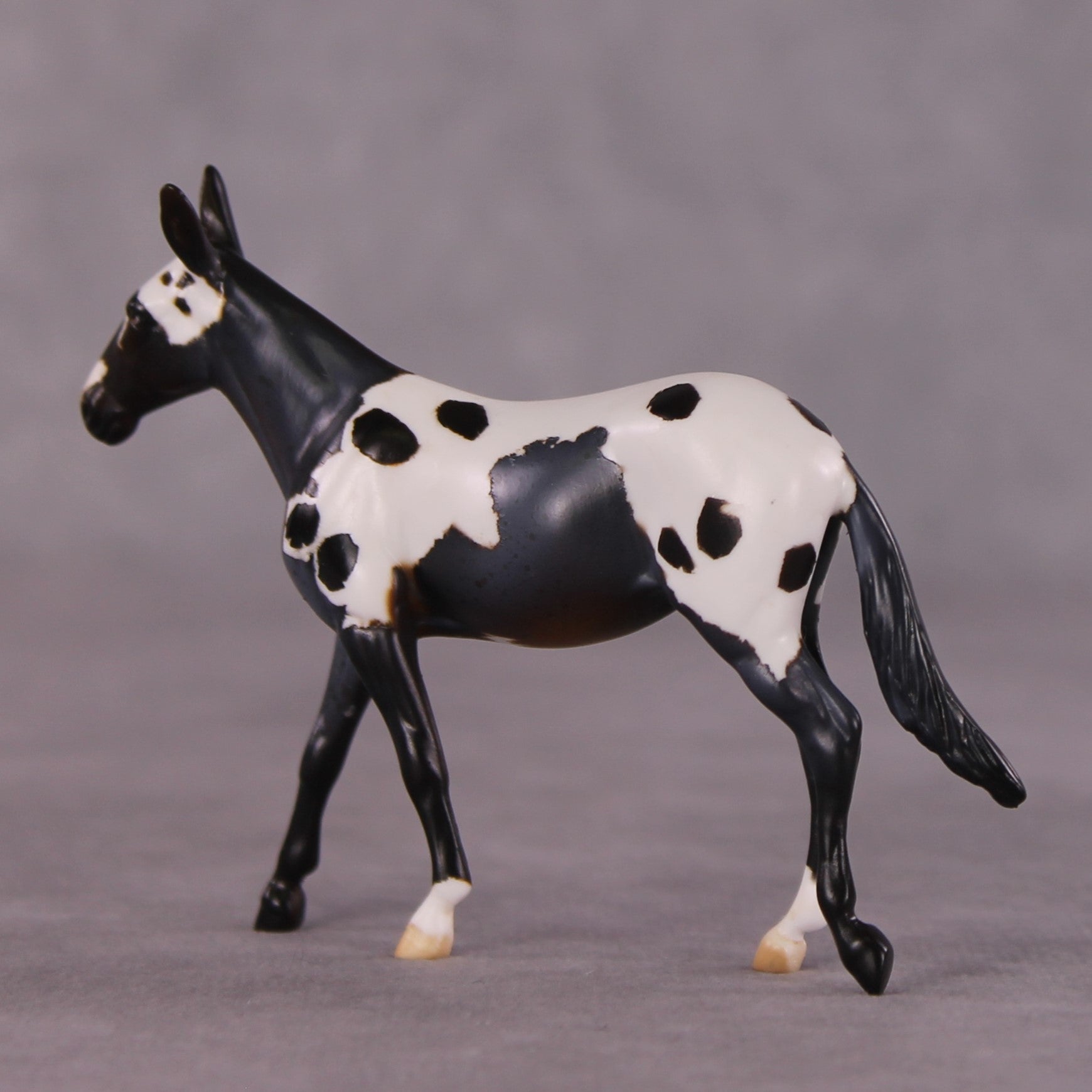"Chester" OOAK Mule Chip by Anna Rieck SHCF25