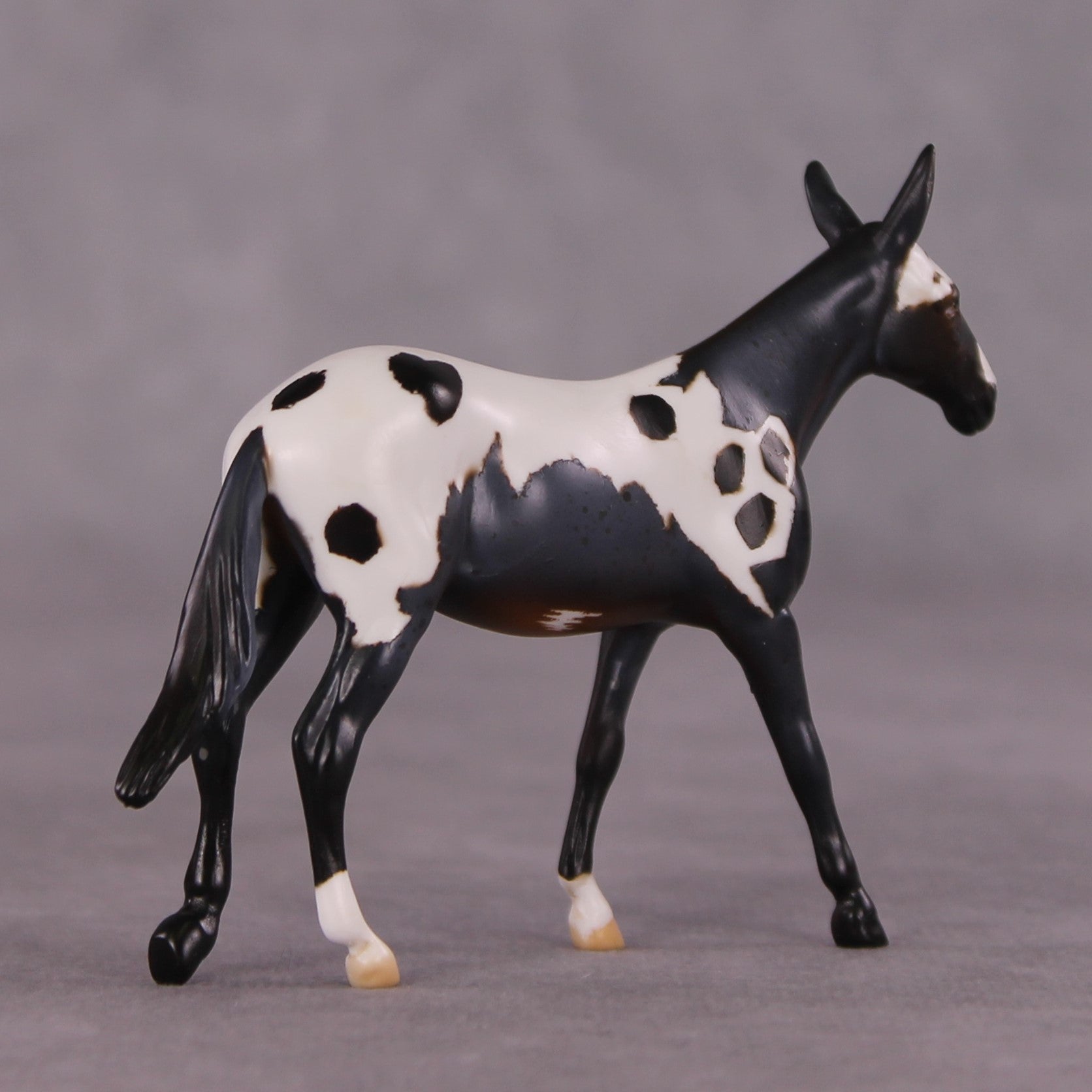 "Chester" OOAK Mule Chip by Anna Rieck SHCF25