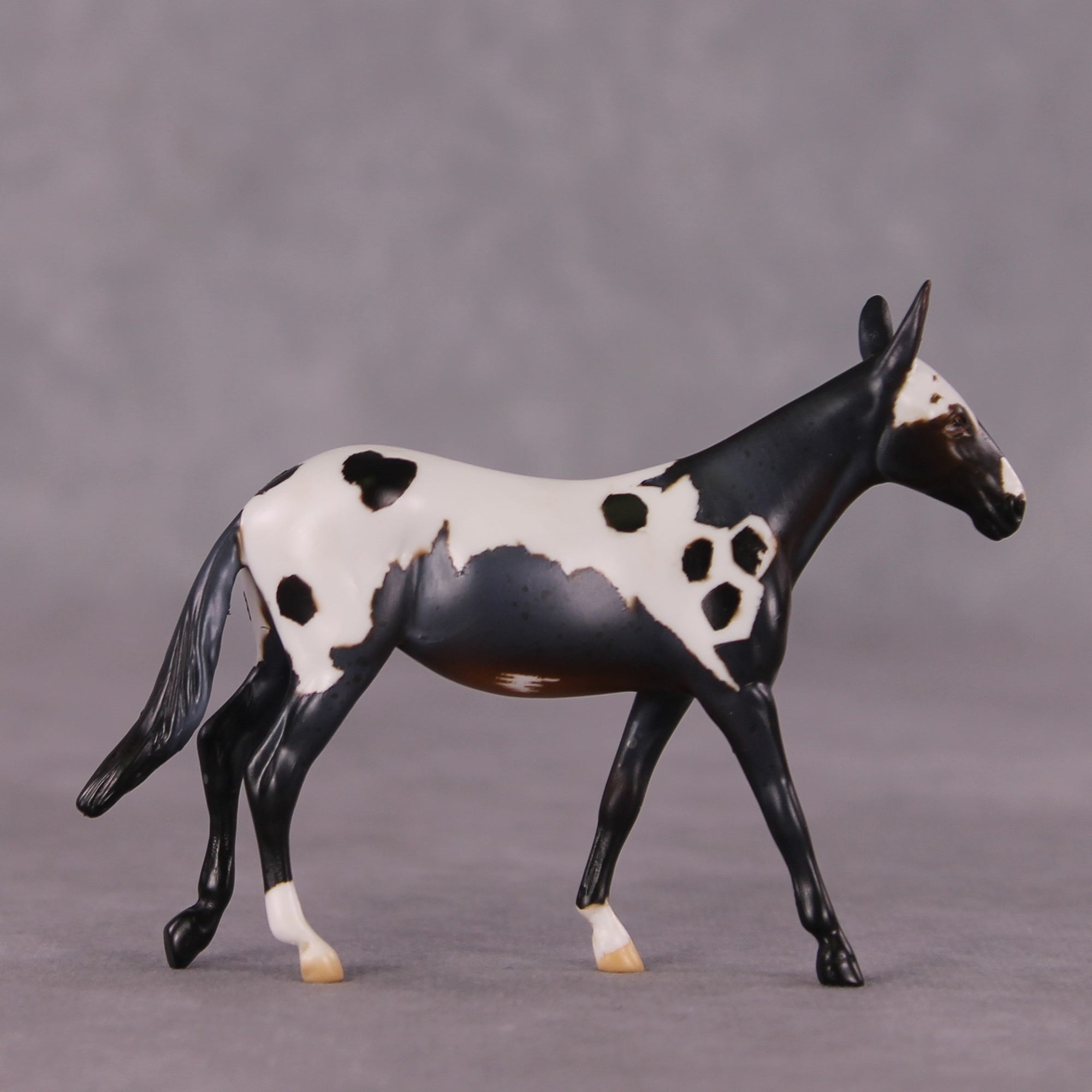 "Chester" OOAK Mule Chip by Anna Rieck SHCF25
