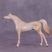 Funnel Cake OOAK Chip Arabian by Ellen Robbins SCD25