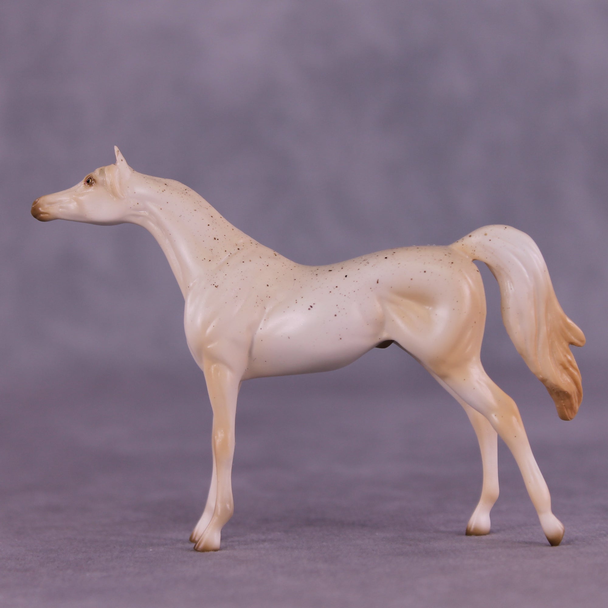 Funnel Cake OOAK Chip Arabian by Ellen Robbins SCD25