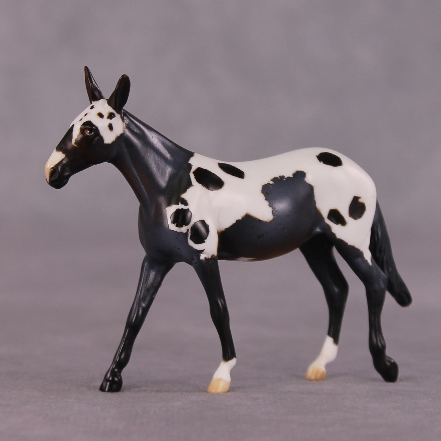 "Chester" OOAK Mule Chip by Anna Rieck SHCF25