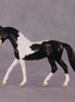 "Domino" OOAK Warmblood Chip by Anna Rieck SHCF25OS