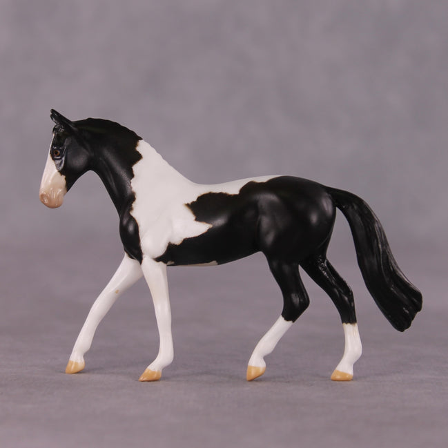 "Domino" OOAK Warmblood Chip by Anna Rieck SHCF25OS