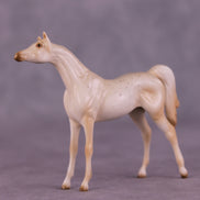 Funnel Cake OOAK Chip Arabian by Ellen Robbins SCD25