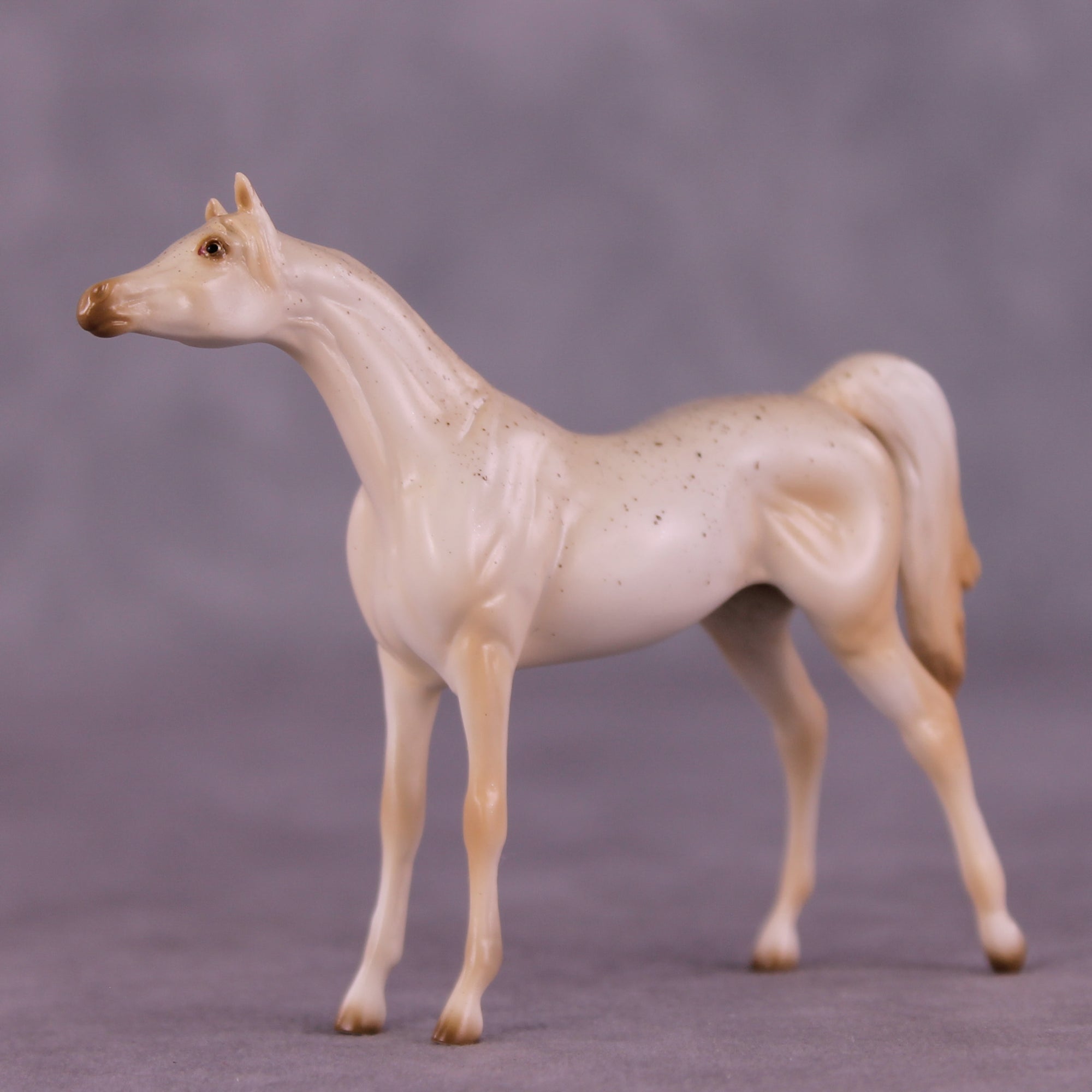 Funnel Cake OOAK Chip Arabian by Ellen Robbins SCD25