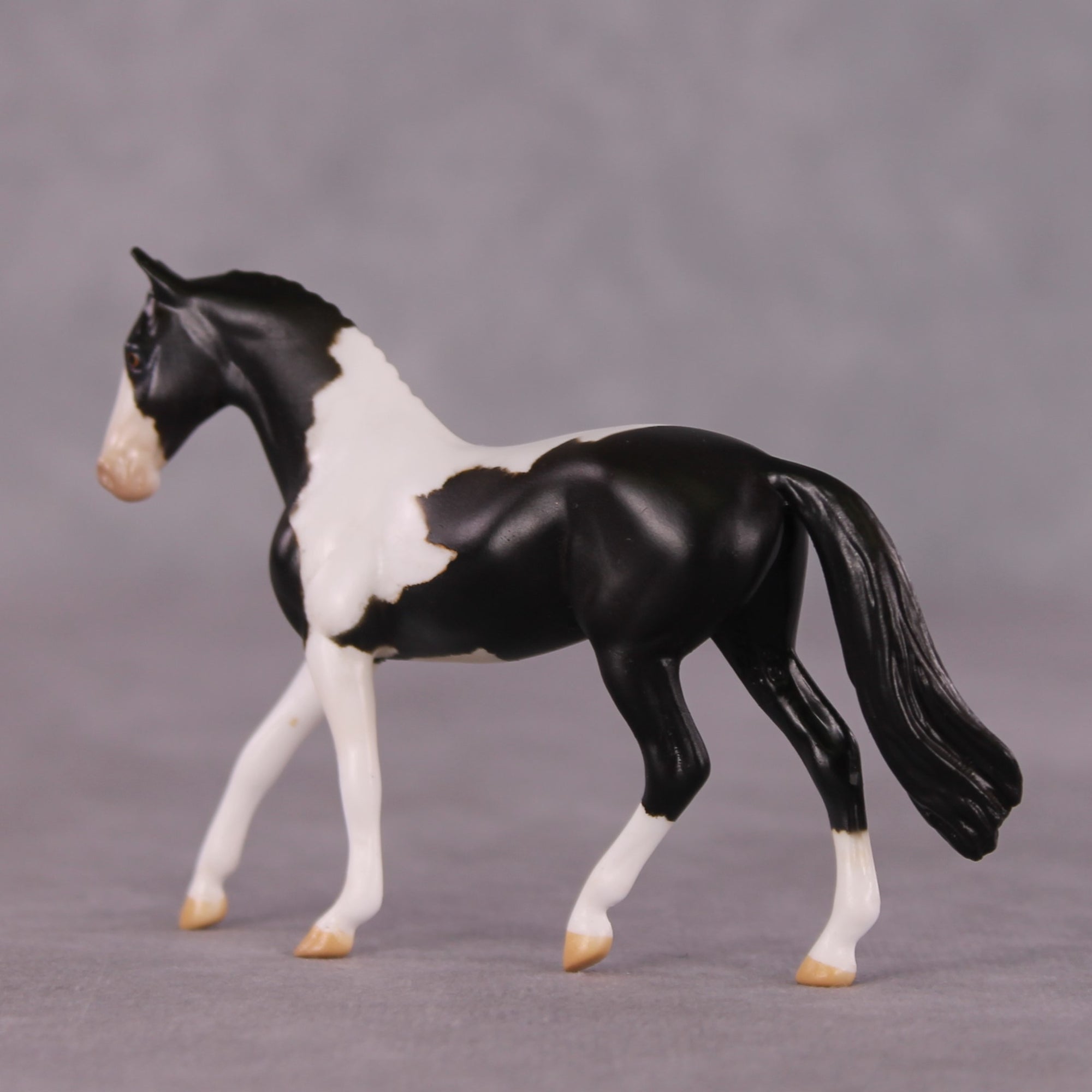 "Domino" OOAK Warmblood Chip by Anna Rieck SHCF25OS